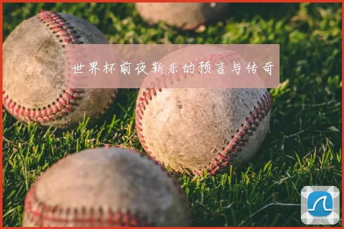 世界杯前夜靳东的预言与传奇