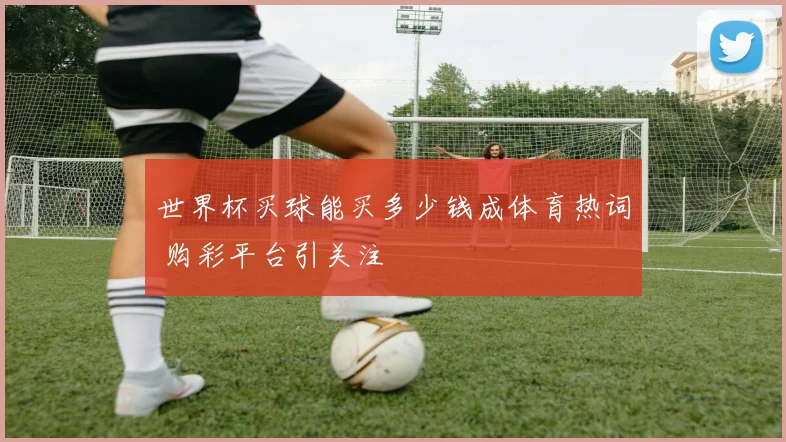 世界杯买球能买多少钱成体育热词 购彩平台引关注