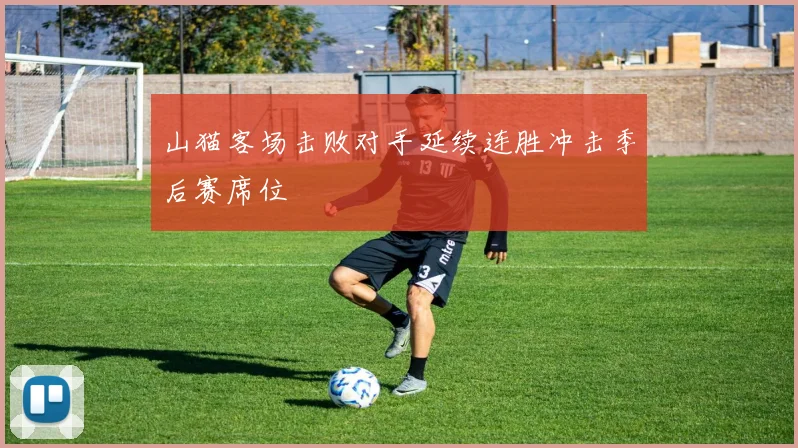 山猫客场击败对手延续连胜冲击季后赛席位