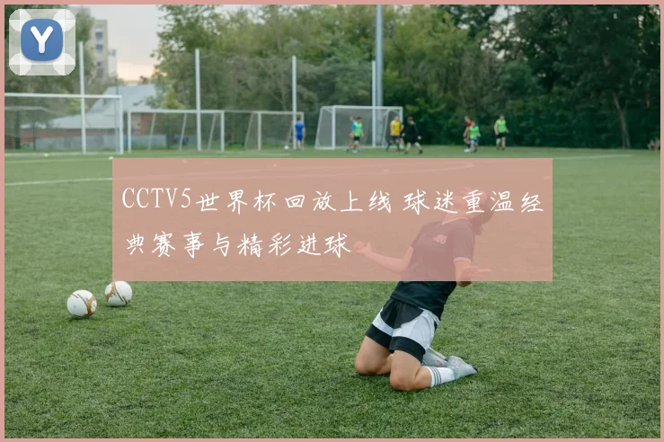 CCTV5世界杯回放上线 球迷重温经典赛事与精彩进球