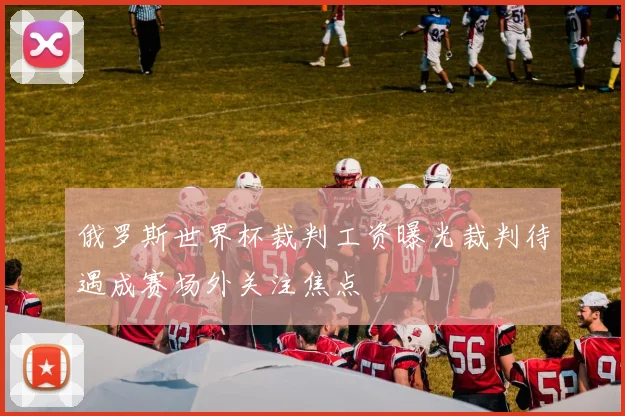 俄罗斯世界杯裁判工资曝光裁判待遇成赛场外关注焦点