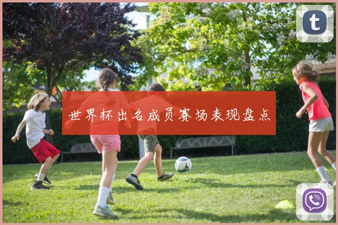 世界杯出名成员赛场表现盘点
